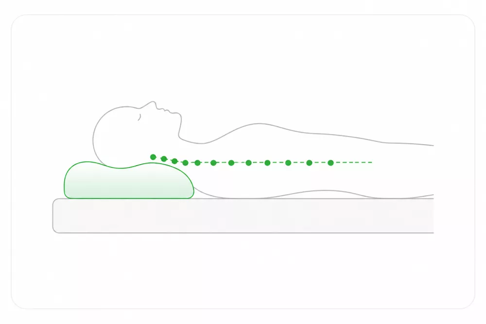 Supine Alignment Vector