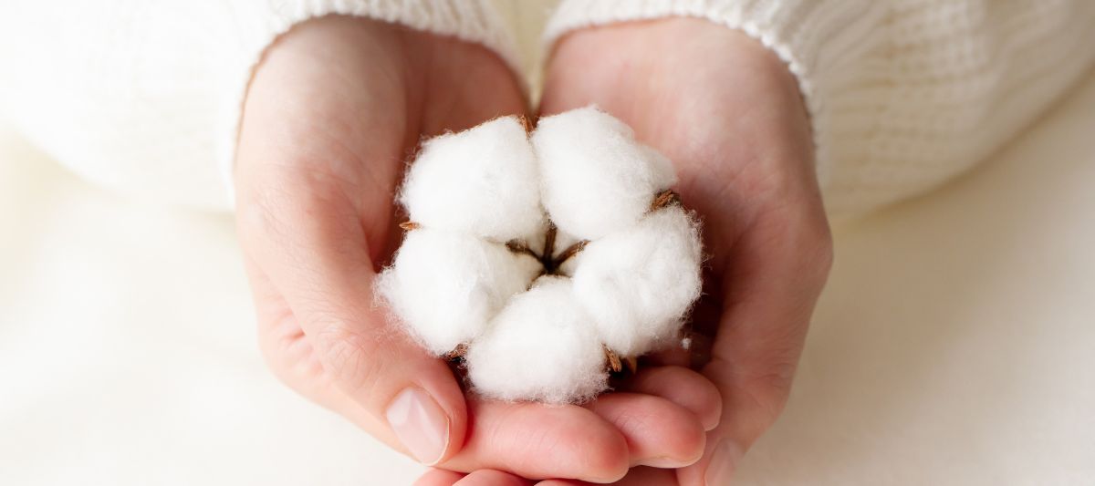 We give you cotton (a wonderfully comfortable duvet)