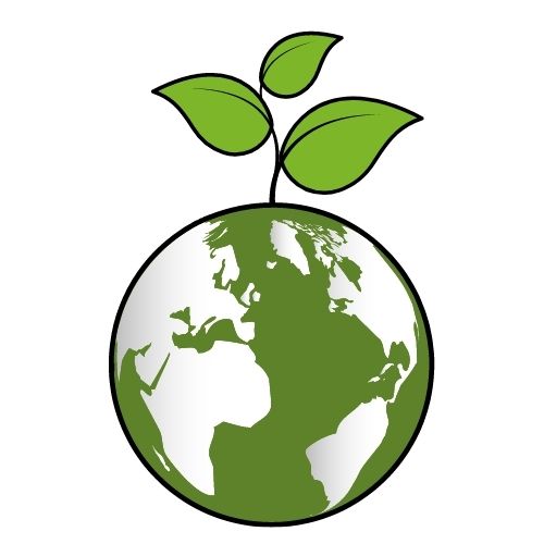 Bamboo eco-friendly